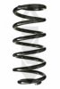 SPIDAN 85731 Coil Spring